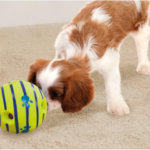 WG021236 Ball, Interactive Dog Toy, Fun Giggle Sounds, As Seen On TV green Medium